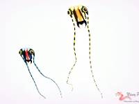 0MD 5766 1200x800 +cy