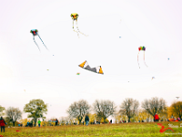 0MD 5768 1200x800 +cy