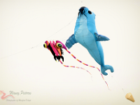 0MD 5801 1200x800 +cy