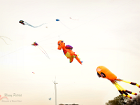 0MD 5802 1200x800 +cy