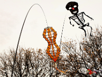 0MD 5804 1200x800 +cy