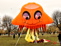 Drachenfest Berus 2025