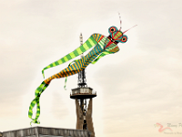 0MD 5824 1200x800 +cy