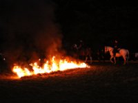 IMG 0228